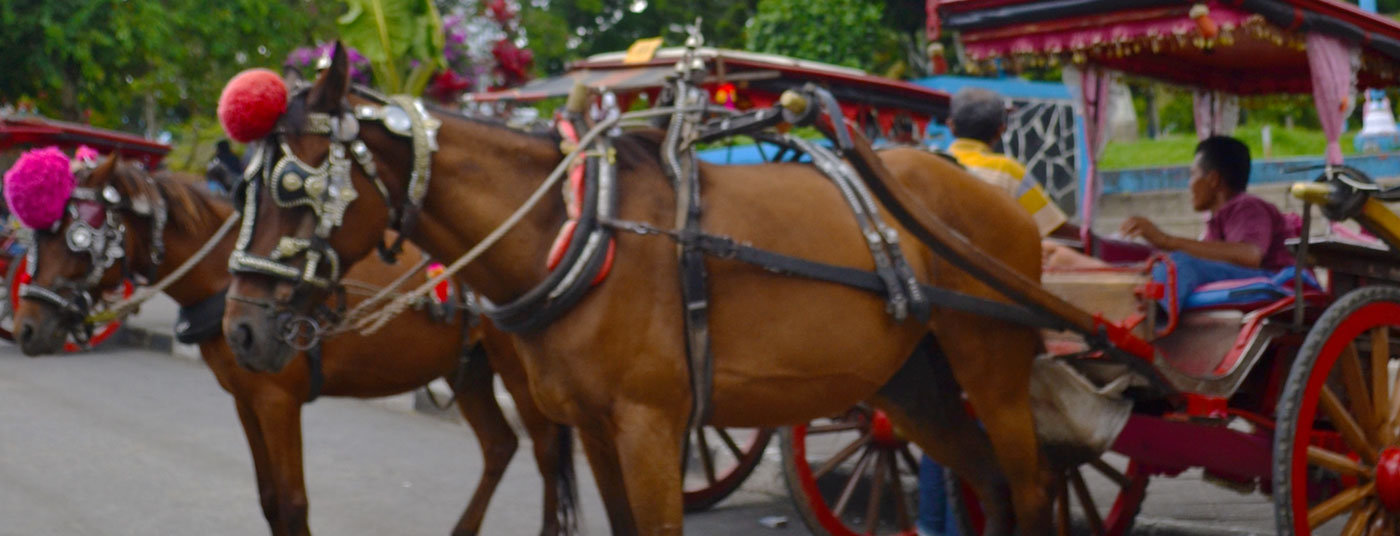 Bukittinggi <strong>West Sumatra</strong>