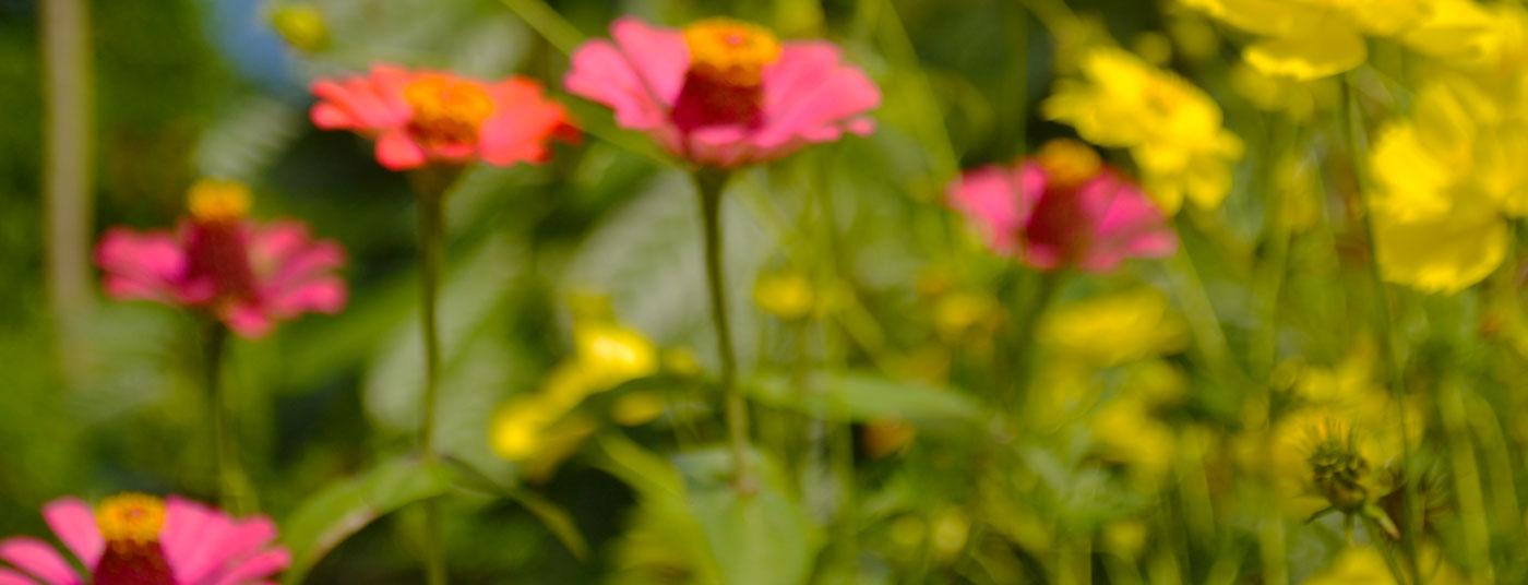 ???Low budget - high quality??? <strong>guesthouse</strong>